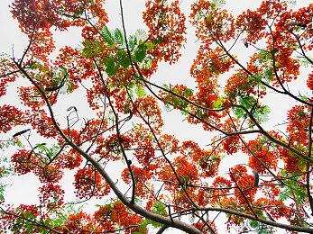 超能力动作游戏《未知9号：觉醒》发布全新预告片