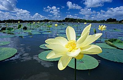 《生化奇兵4》开发再遇挫 工作室裁员三分之一